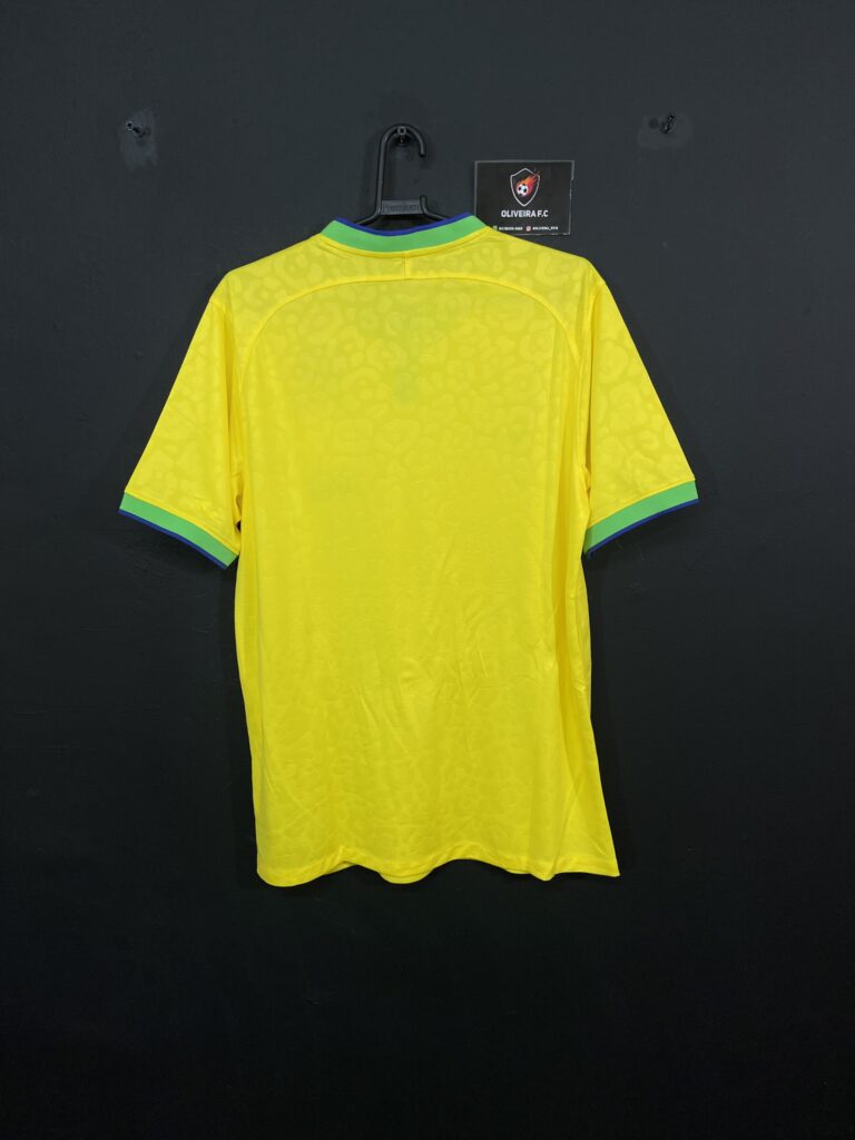 BRASIL AMARELA 22 (9)