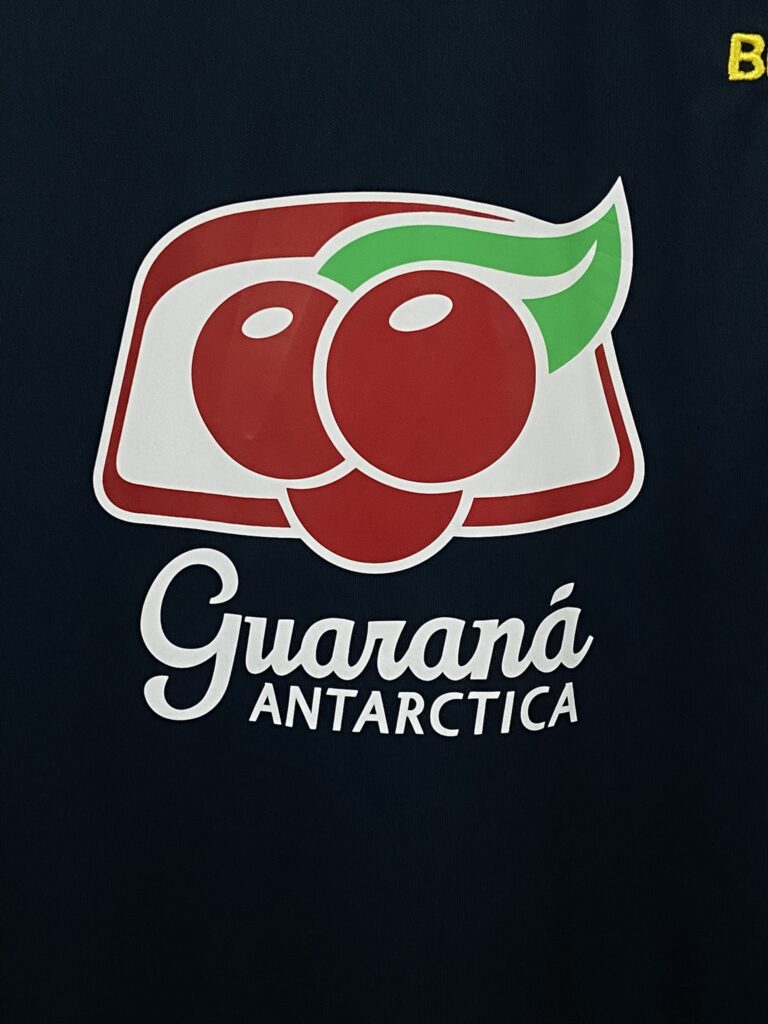 Brasil treino 19 (7)