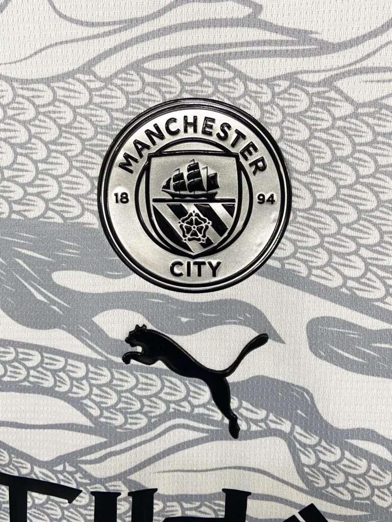 City dragon (4)