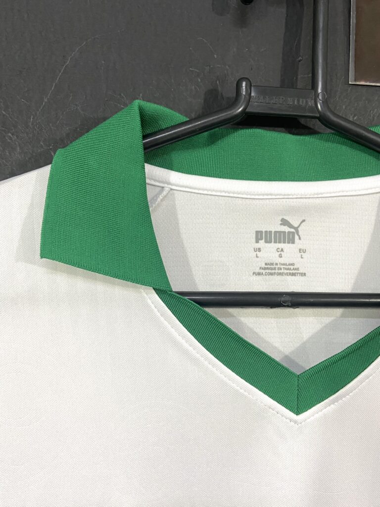 Palmeiras II 24 (7)
