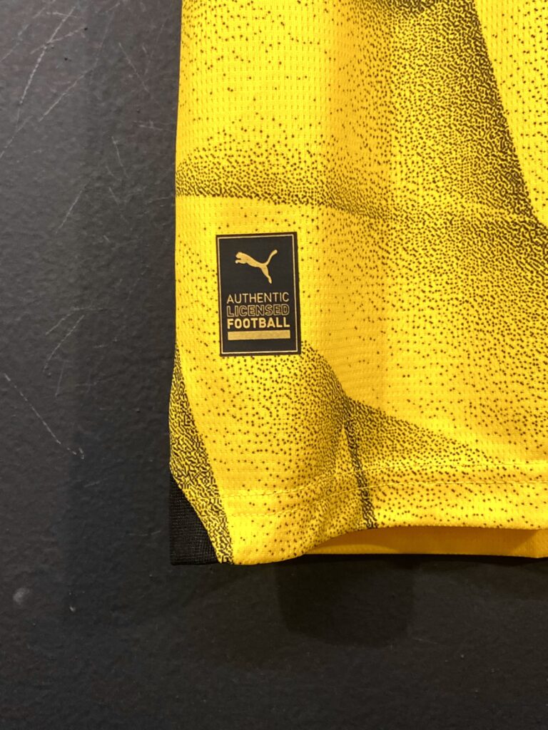 BVB I 23 (7)