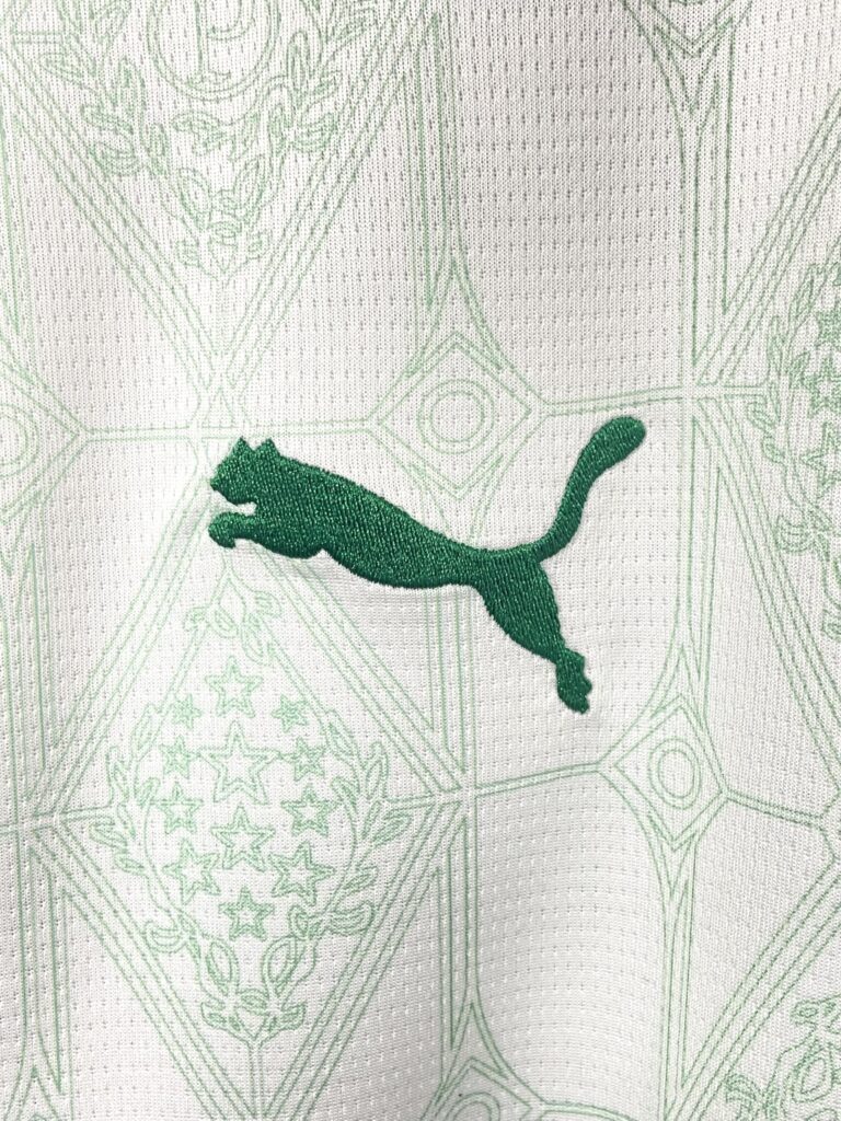 Palmeiras II 2025 (5)