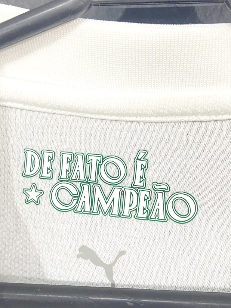 Palmeiras II 2025 (7)