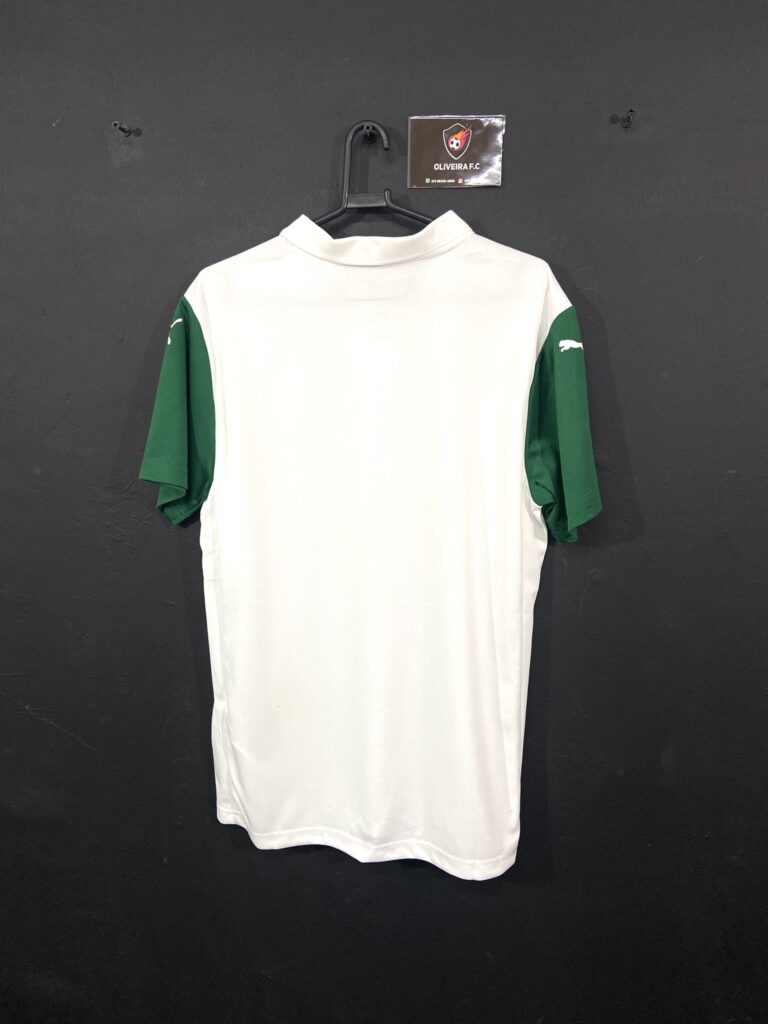 Palmeiras II 2025 (8)