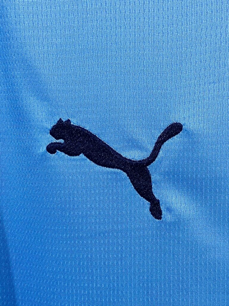 Manchester city I 2526 (1)