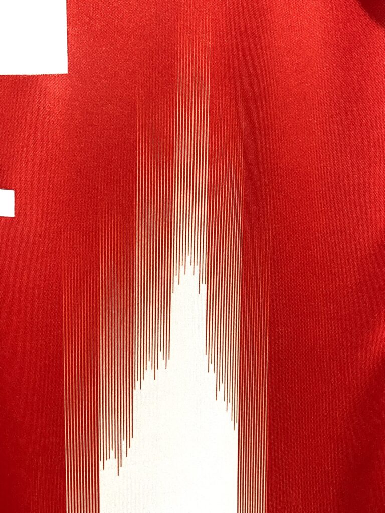 Bayern Munique I 2526 (7)
