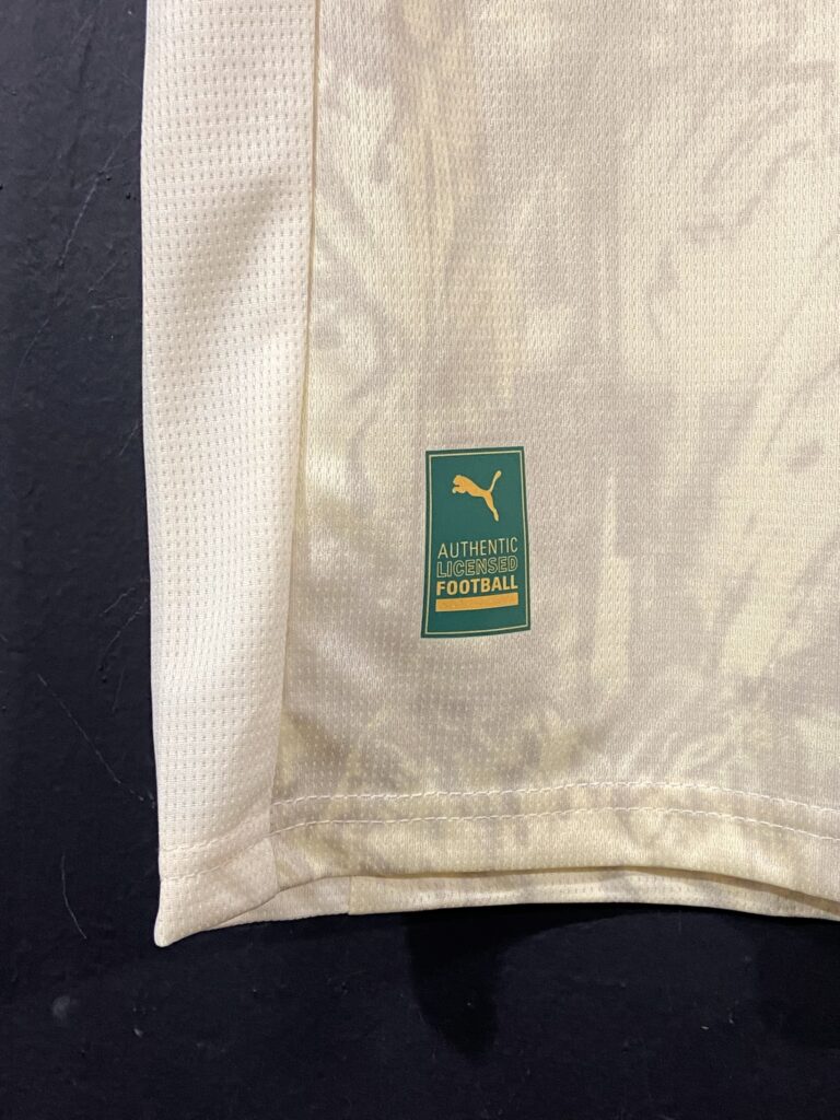 Palmeiras III 2025 (6)